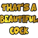 beautifulcock