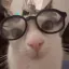 nerm