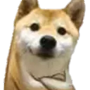 okok