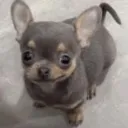 smirky