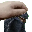 Goji_Pats