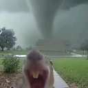 emoji_57 custom emote | 𝕿𝕳𝕰 𝕾𝕬𝕹𝕮𝕿𝖀𝕬𝕽𝖄