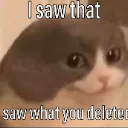 Isawyoudelete