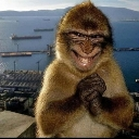 emoji_33 Discord sticker from 𝐑𝐂〢𝐑𝐚𝐧𝐠𝐚𝐫𝐨𝐤 𝐜𝐫𝐚𝐟𝐭🗺