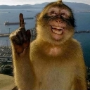 emoji_35 Discord Emoji - 𝐑𝐂〢𝐑𝐚𝐧𝐠𝐚𝐫𝐨𝐤 𝐜𝐫𝐚𝐟𝐭🗺