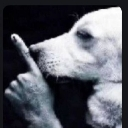 emoji_36 Discord sticker from 𝐑𝐂〢𝐑𝐚𝐧𝐠𝐚𝐫𝐨𝐤 𝐜𝐫𝐚𝐟𝐭🗺