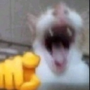 emoji_37 Discord Emoji - 𝐑𝐂〢𝐑𝐚𝐧𝐠𝐚𝐫𝐨𝐤 𝐜𝐫𝐚𝐟𝐭🗺