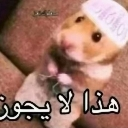 emoji_38 custom emote | 𝐑𝐂〢𝐑𝐚𝐧𝐠𝐚𝐫𝐨𝐤 𝐜𝐫𝐚𝐟𝐭🗺