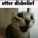 utterdisbelief
