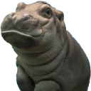 pngkeycomhippopng2145793 Discord emoji