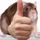 thumbsuprat