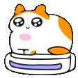 catspin