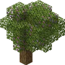 lushcavehere