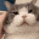 catrub catrub