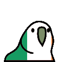 irishparro