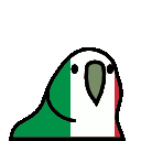 2169_italyparrot
