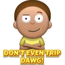 DONTEVENTRIPDAWG Discord sticker from Arcadia Nova