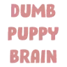 puppy_brain
