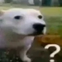 uhm