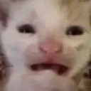 AAAA