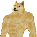 body_builder