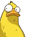 susduck susduck