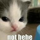 emoji_50 Discord Emoji - FBI COMMUNITY