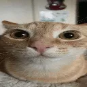 bruh