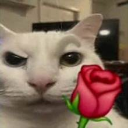 OIP3 custom emote | Zero Mercy