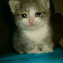 OIP2 Discord sticker from Zero Mercy