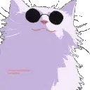 cat_gojo