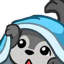 wocozy