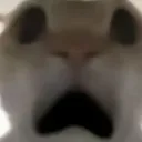 UAAAA