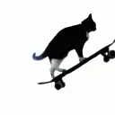 spin
