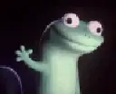 Lizard