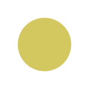 colorYellowProtect