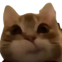 catERM