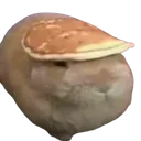 bunSQUISH