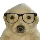 pupNERD
