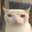 vodka_stare