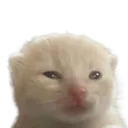 unglorp unglorp