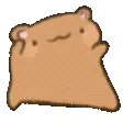 bearDisco