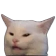 confusedCat