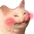 CatBlush