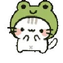 431437jamfroggykitty