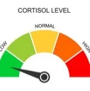 lowcortisol