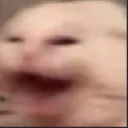 Aaaaaah