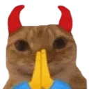 catpray