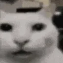 DarkCat DarkCat