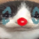 Clowncat Discord Emoji - Nova Luna (新月)